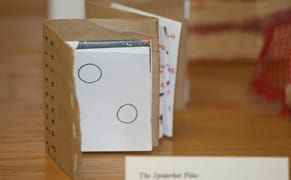 Exploring Gender in an Unexpected Package