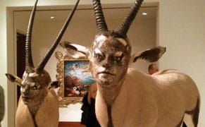 Cranbrook Museum of Art Re-Opens