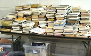 OWS Library Safe, According to NY Mayor's Office