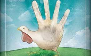A Short But Succinct Survey of the Current Hand Turkey Stratosphere