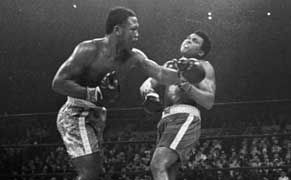 A Few Rounds in Philadelphia's Hard-Knuckle Art Scene