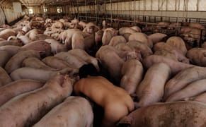 Art Rx: From New York to Miami