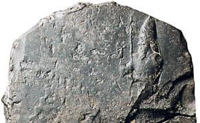 The Only Contemporary Illustration of The Tower of Babel