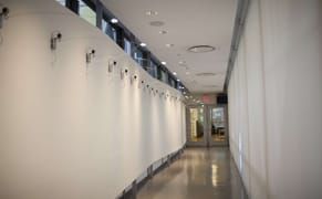 Art, Science and the Bastardization of Nature