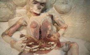 Lewd Monkey Goddesses, Luminous Death and Sequined Birth