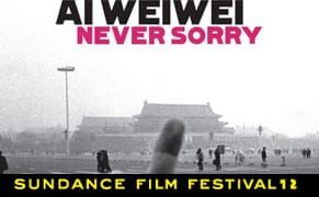 Ai Weiwei Doc Director Comments on Her Award