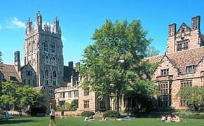 Professor at Yale Limits Enrollment In Art History Course Due to Internet Concerns