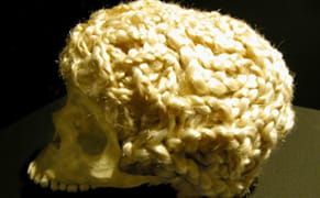 The Wonders of the Human Brain