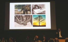 Tonight's State of Drawing Panel and Amy Sillman's iPhone Animation