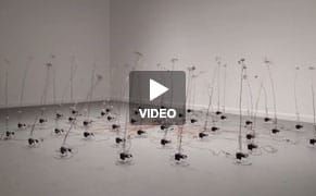 Artist Visualizes the Waves from Thousands of Miles Away