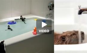 When Advertising Follows Art