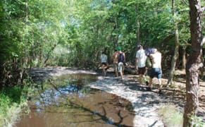 Surveying Arts Residencies Today: How to Make It Happen (Part 3)