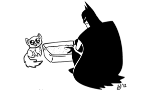 The Ordinary Adventures of an Extraordinary Batman