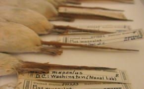 Art and Science Get Intimate