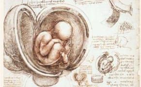 Tuning In: Devin Johnston’s Verse Seeks to Fill the Nothing with Song