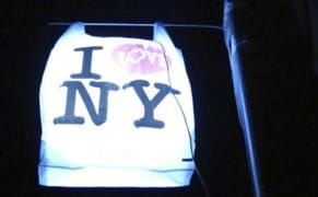 Brooklyn Designer Held Without Bail for Hanging Plastic Bags from Trees