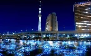A River of LED Fireflies in Tokyo