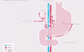 Subway Maps of the Body