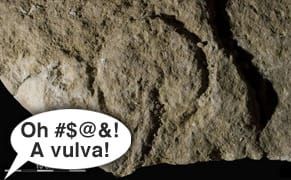 Archeologist Uncovers Oldest Rock Art, Exclaims "Oh #$@&! A Vulva"