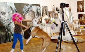 A View from the Easel