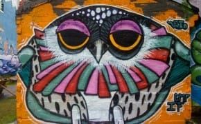 The Wildlife of Reykjavik Street Art