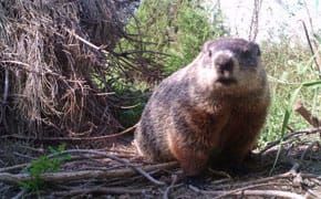 A Museum Takes Art on the Road