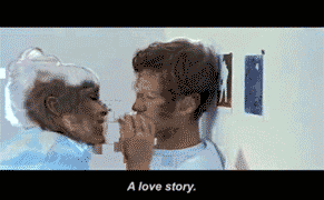 GIF Typologies and the Heritage of the Moving Image