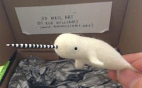 There's a Narwhal in Our Mail