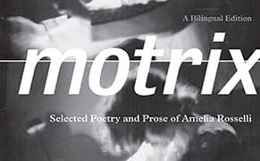 Swallow the Meat in the Jargon