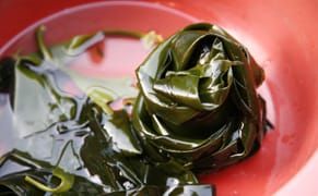 The Politics of Taste: Expanding Your Palate