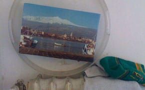 Something Shared, Artissima Giornale #5