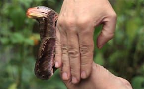 Activating the City: Artissima Giornale #4