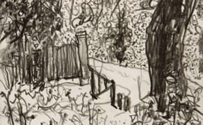 It's Hard to Lie in a Drawing