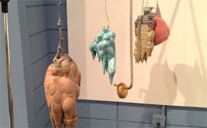 A Wild Forest of Queer Aesthetics