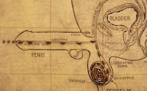 Big, Bigger, Biggest: Judith Bernstein Breaks Through