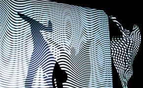 A Report from Cyberfest: Russia's New Media Festival