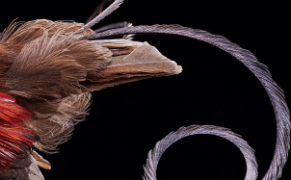 National Geographic Sours on Instagram, for Good Reason