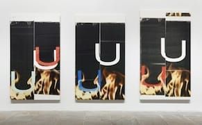 The Right Way to Do It Wrong: Three Takes at the Whitney