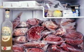 The Refrigerator as a Window onto the Soul