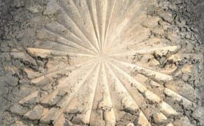 “The Rose” Is Not A Rose