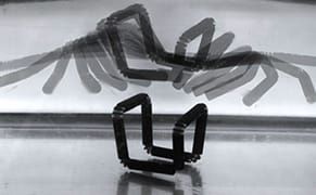 Is 4D Printing a Thing?