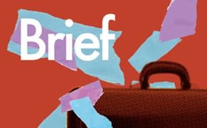 The Work of Fiction in the Age of Digital Reproduction: Alexandra Chasin’s "Brief"