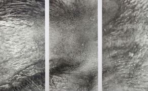 Opening Tonight, Artists Investigate the Skin at Garis & Hahn