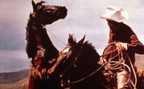 Our Reblogs, Ourselves