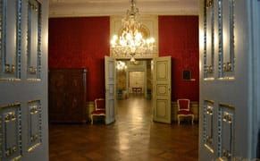 Romania's Oldest Museum in Crisis