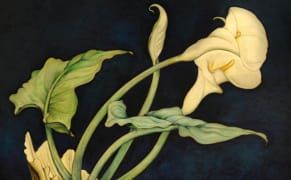 Long-Disputed Stieglitz Collection To Be Unveiled This Fall