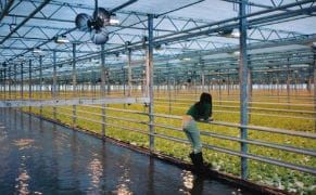 The End of the World as We Know It