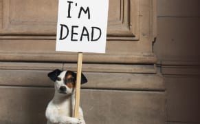 Who Do You Think Should Win the 2013 Turner Prize?