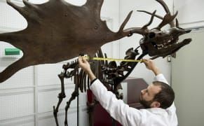 What Should the Lifespan of Art Be, and Who Decides?