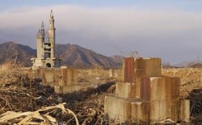 Capturing the Chinese Copy Town Trend